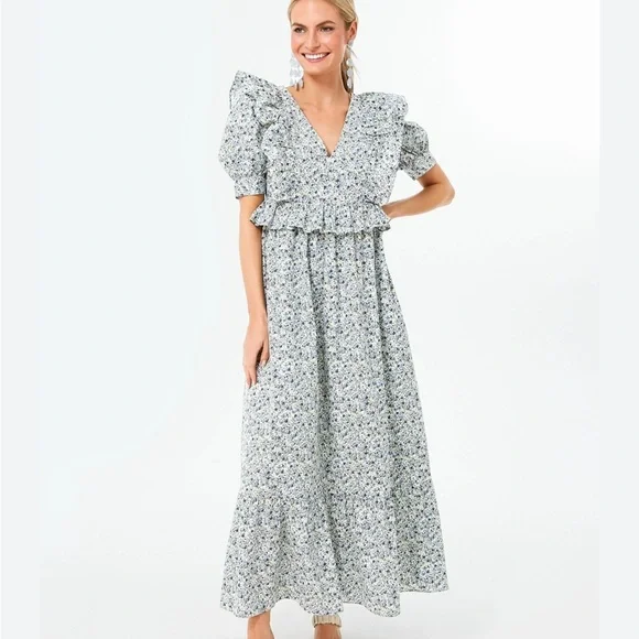 NWT Hyacinth House Tuckernuck Blue Floral Puff Sleeve Meadow Midi Dress Medium - Picture 1 of 6